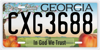 GA license plate CXG3688