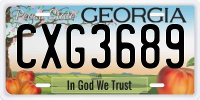 GA license plate CXG3689