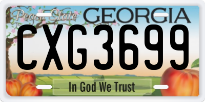 GA license plate CXG3699