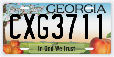 GA license plate CXG3711