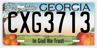GA license plate CXG3713