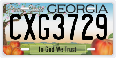 GA license plate CXG3729