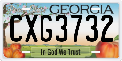GA license plate CXG3732