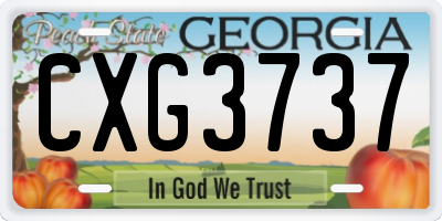GA license plate CXG3737