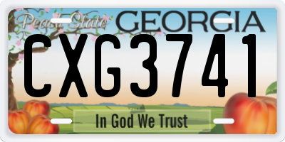 GA license plate CXG3741