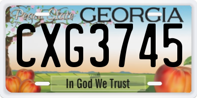 GA license plate CXG3745