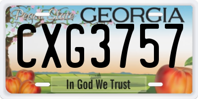GA license plate CXG3757