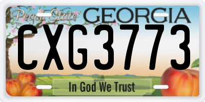 GA license plate CXG3773