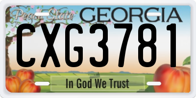 GA license plate CXG3781