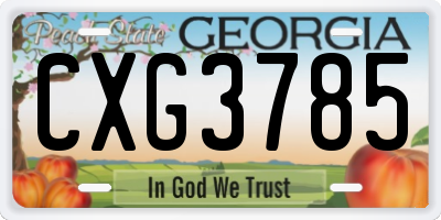 GA license plate CXG3785