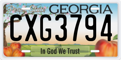 GA license plate CXG3794