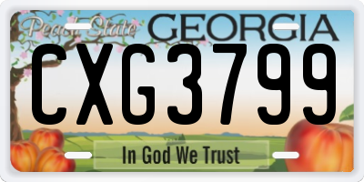 GA license plate CXG3799