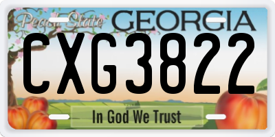 GA license plate CXG3822