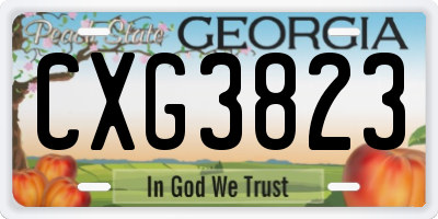 GA license plate CXG3823