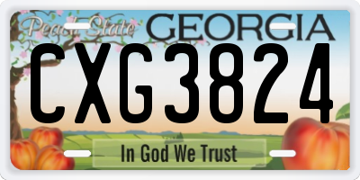 GA license plate CXG3824