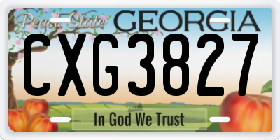 GA license plate CXG3827