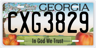 GA license plate CXG3829