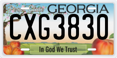 GA license plate CXG3830