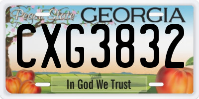 GA license plate CXG3832