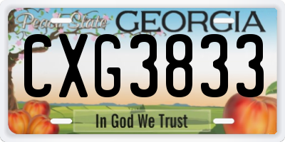 GA license plate CXG3833