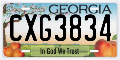 GA license plate CXG3834