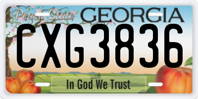 GA license plate CXG3836