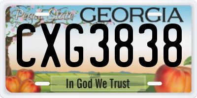 GA license plate CXG3838