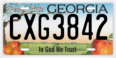 GA license plate CXG3842