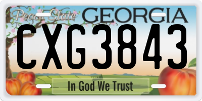 GA license plate CXG3843