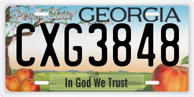GA license plate CXG3848