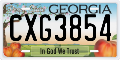 GA license plate CXG3854