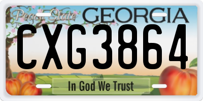GA license plate CXG3864