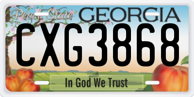 GA license plate CXG3868