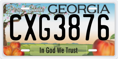 GA license plate CXG3876