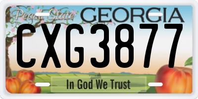 GA license plate CXG3877