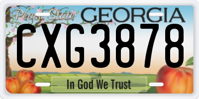 GA license plate CXG3878
