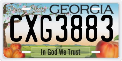 GA license plate CXG3883