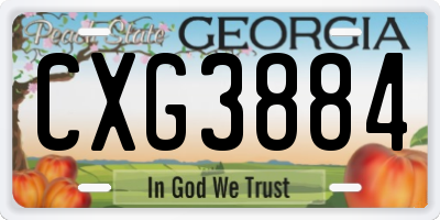 GA license plate CXG3884