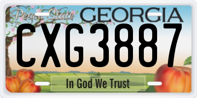 GA license plate CXG3887