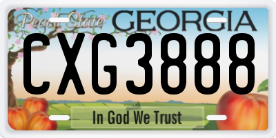 GA license plate CXG3888