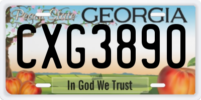 GA license plate CXG3890