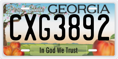 GA license plate CXG3892