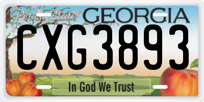 GA license plate CXG3893