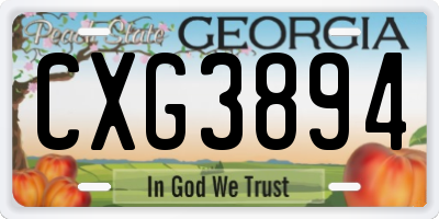 GA license plate CXG3894