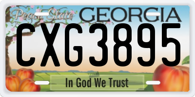 GA license plate CXG3895