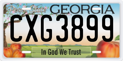 GA license plate CXG3899
