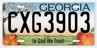 GA license plate CXG3903