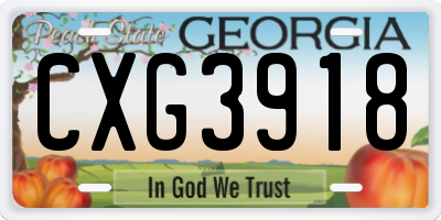GA license plate CXG3918