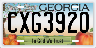 GA license plate CXG3920