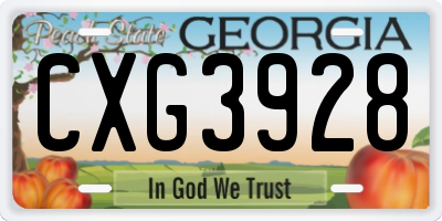 GA license plate CXG3928